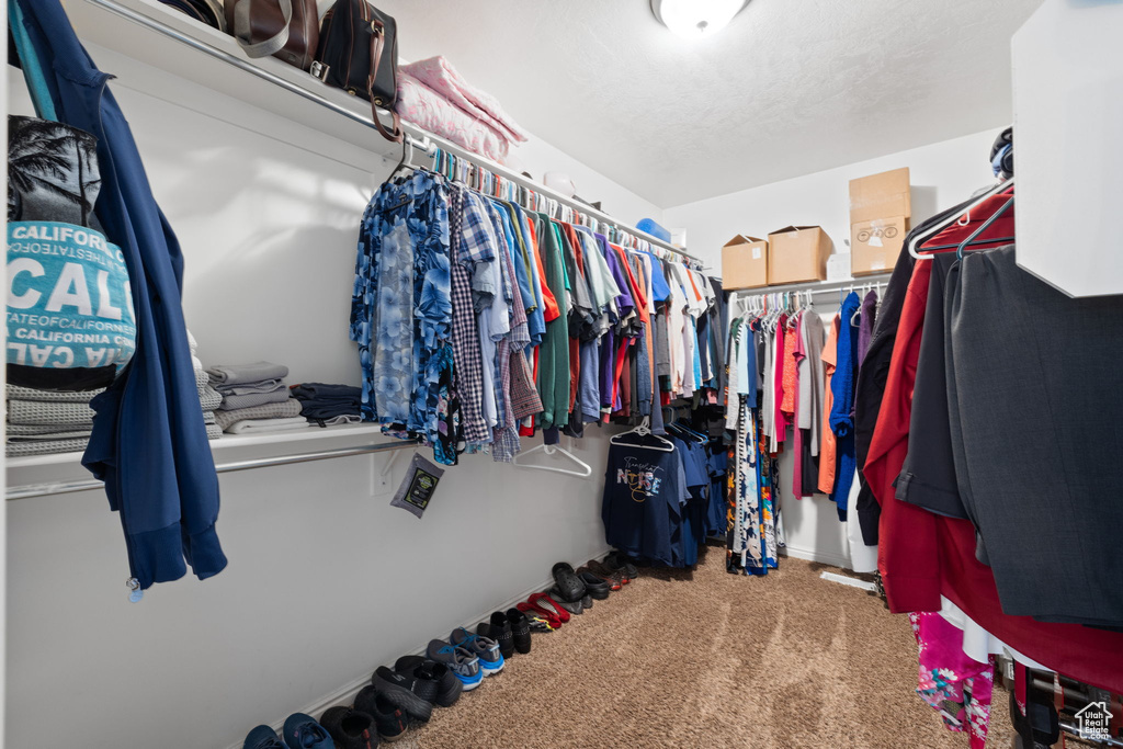 Spacious closet featuring carpet floors