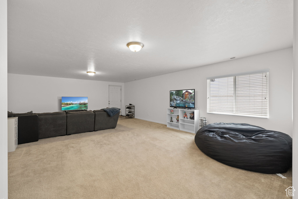 Living area with carpet