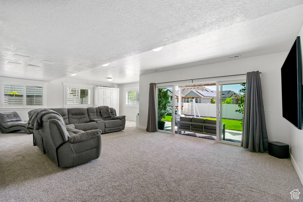 Living room featuring carpet, a textured ceiling, baseboards, and plenty of natural light
