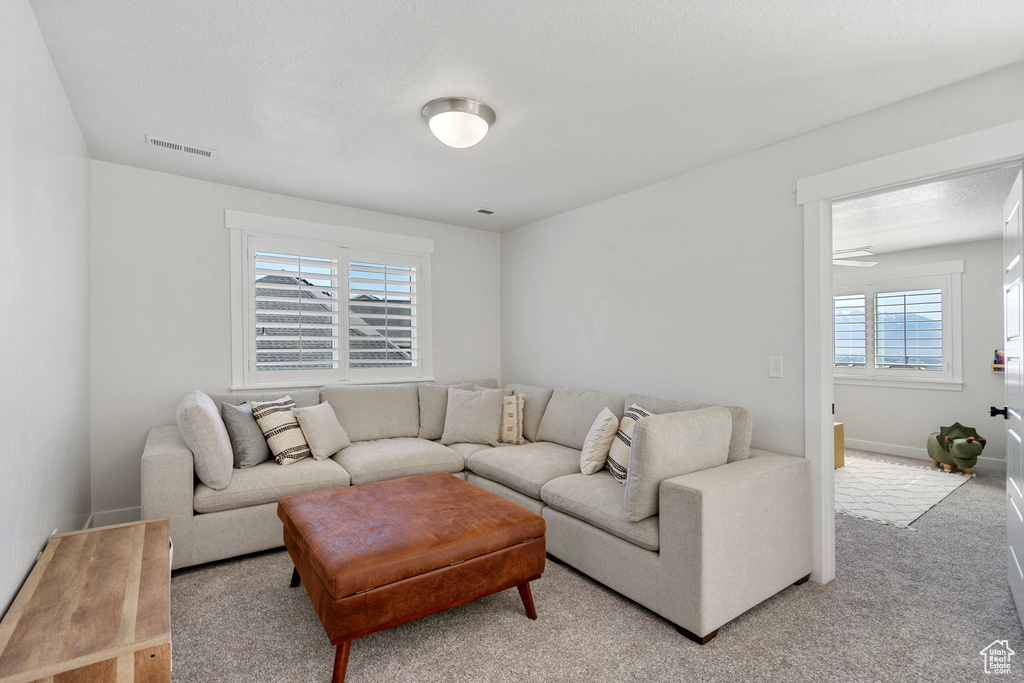 Carpeted living area with baseboards