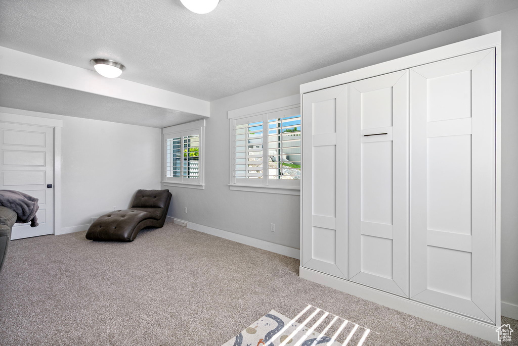 Sitting room with carpet flooring, a textured ceiling, and baseboards