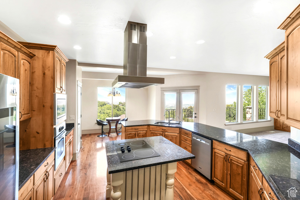 Kitchen with island exhaust hood, appliances with stainless steel finishes, a sink, wood finished floors, and healthy amount of natural light