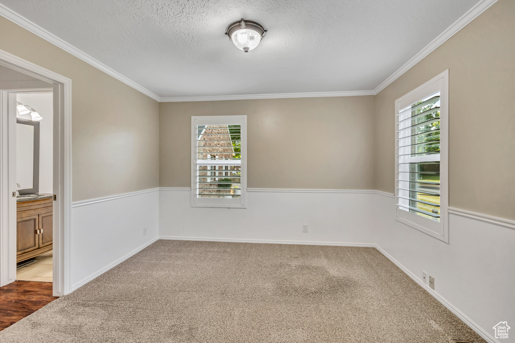 Unfurnished room featuring healthy amount of natural light, dark carpet, ornamental molding, a textured ceiling, and baseboards