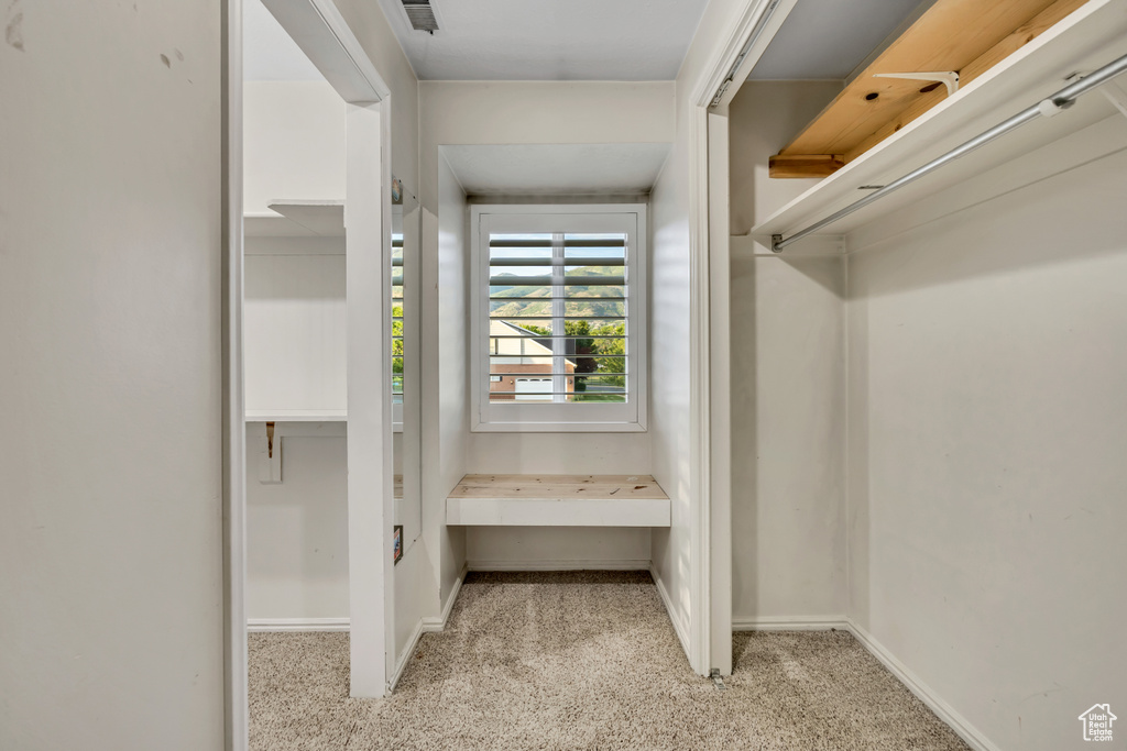 View of walk in closet