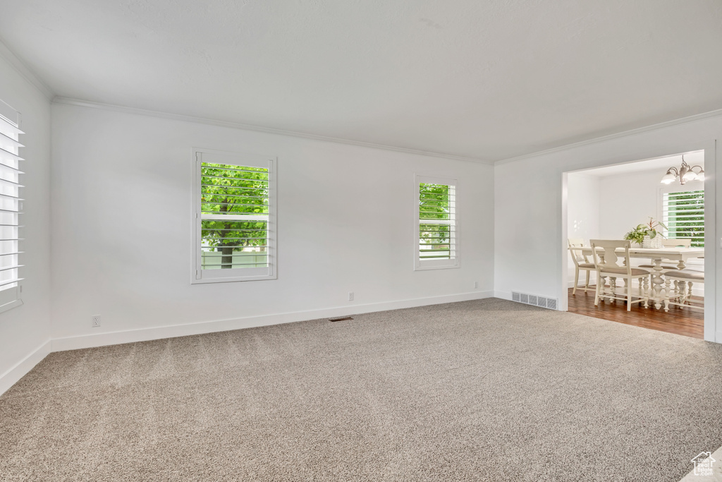 Carpeted spare room featuring crown molding, plenty of natural light, and baseboards