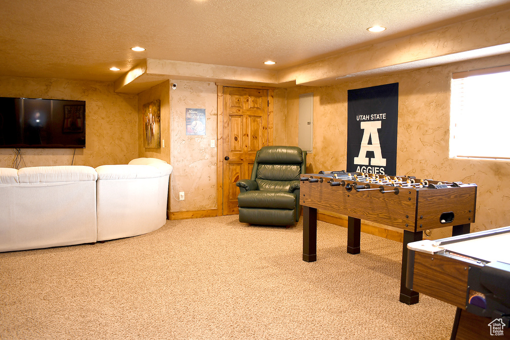 Game room with carpet floors, a textured ceiling, recessed lighting, electric panel, and a textured wall