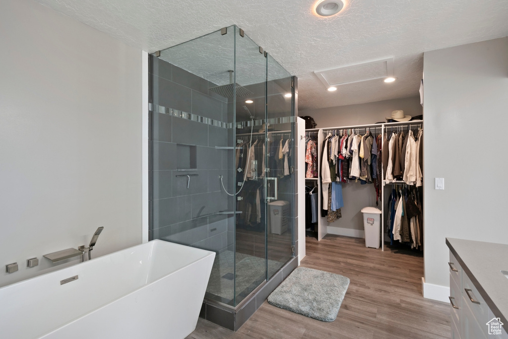 Bathroom featuring a soaking tub, a shower stall, a spacious closet, baseboards, and vanity