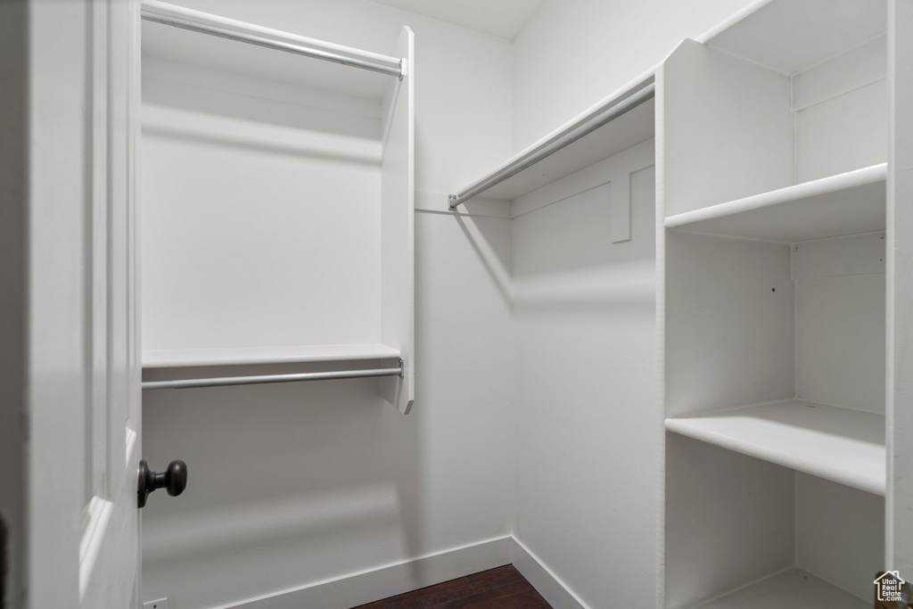 Spacious closet with dark wood-type flooring