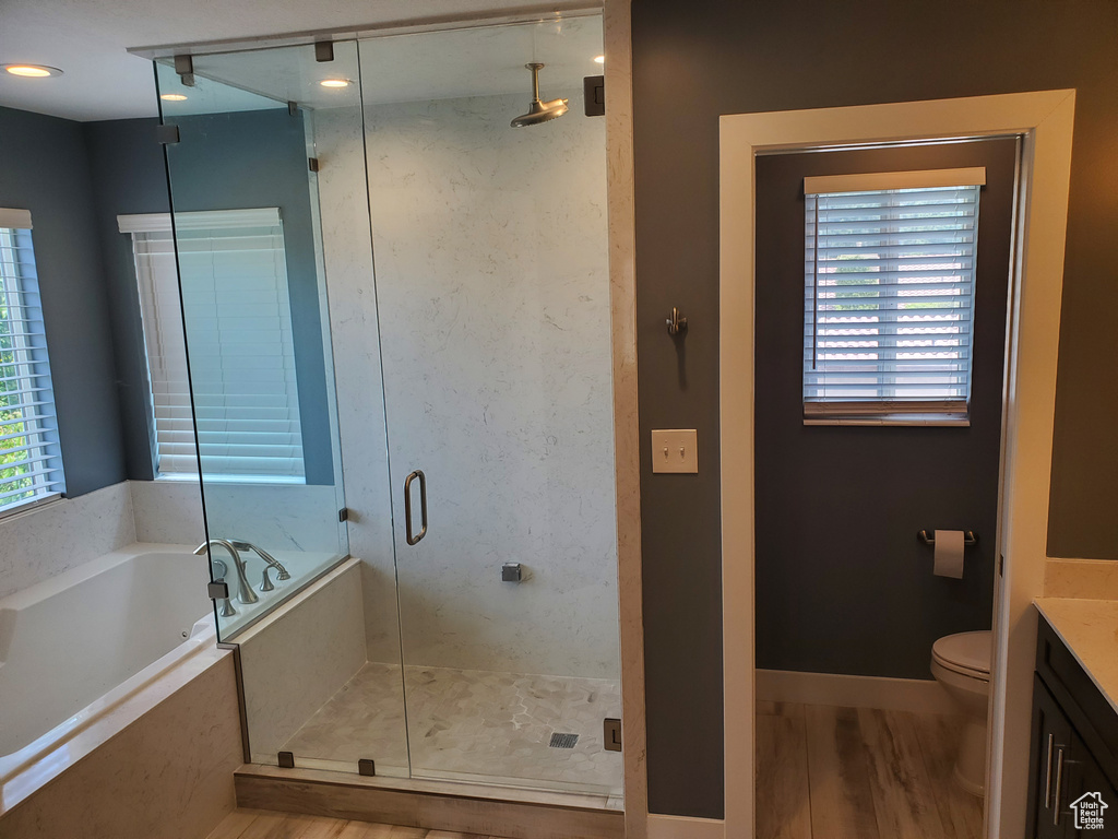 Bathroom with vanity, a stall shower, plenty of natural light, and a garden tub