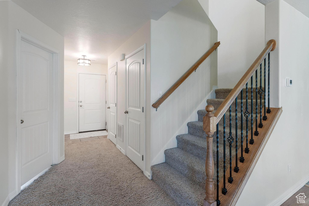 Staircase featuring carpet floors and baseboards