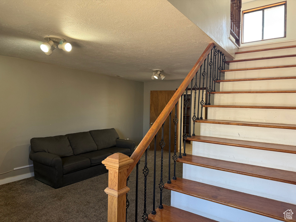 Stairs with carpet floors and a textured ceiling