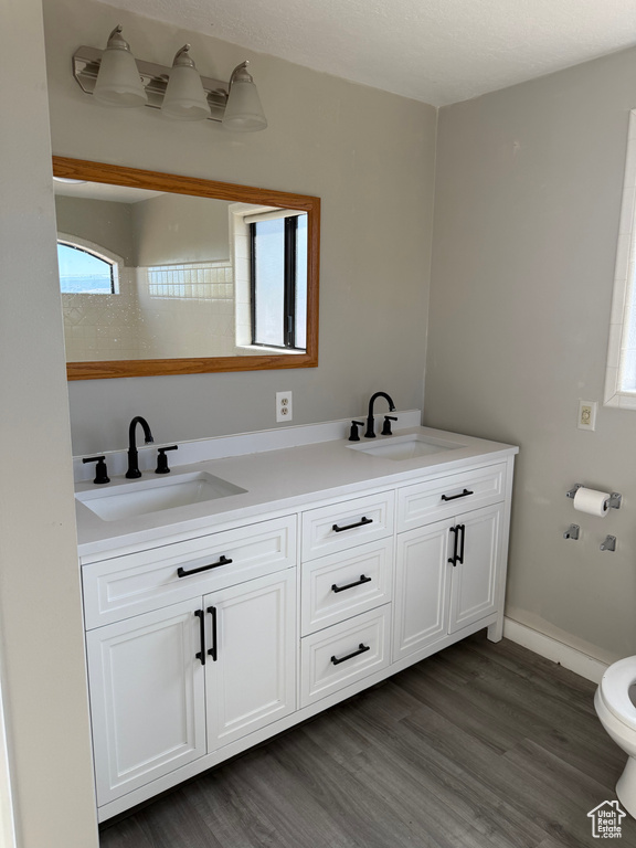 Full bathroom featuring wood finished floors and double vanity
