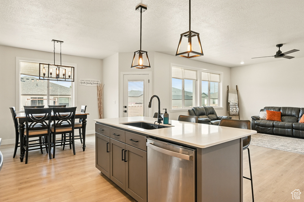 Kitchen with stainless steel dishwasher, a sink, light wood-type flooring, plenty of natural light, and a textured ceiling