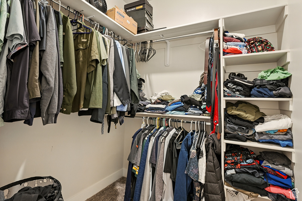 Walk in closet featuring carpet flooring