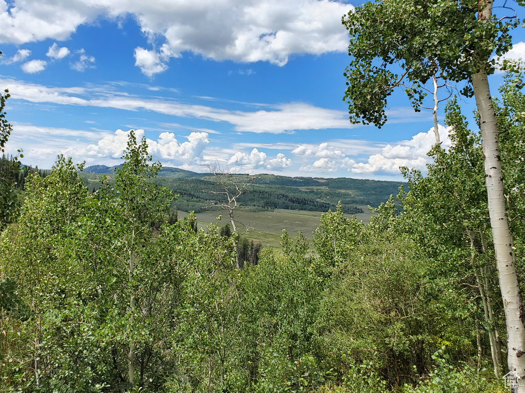 Mountain view