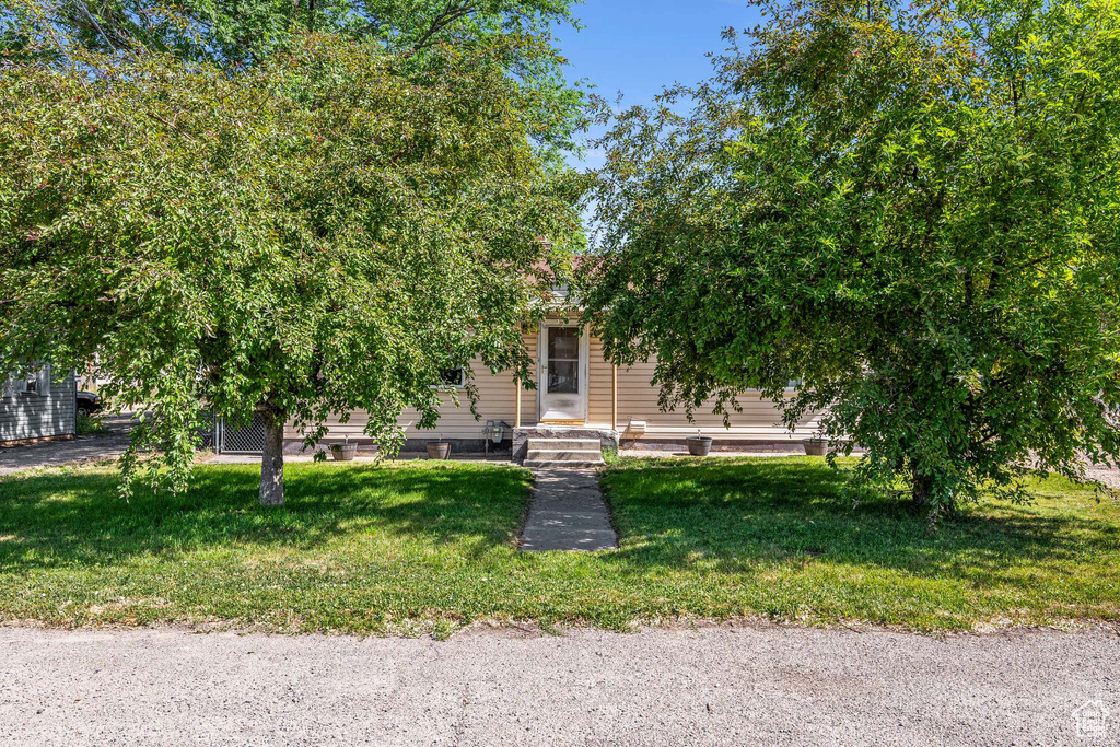 Obstructed view of property featuring a front lawn