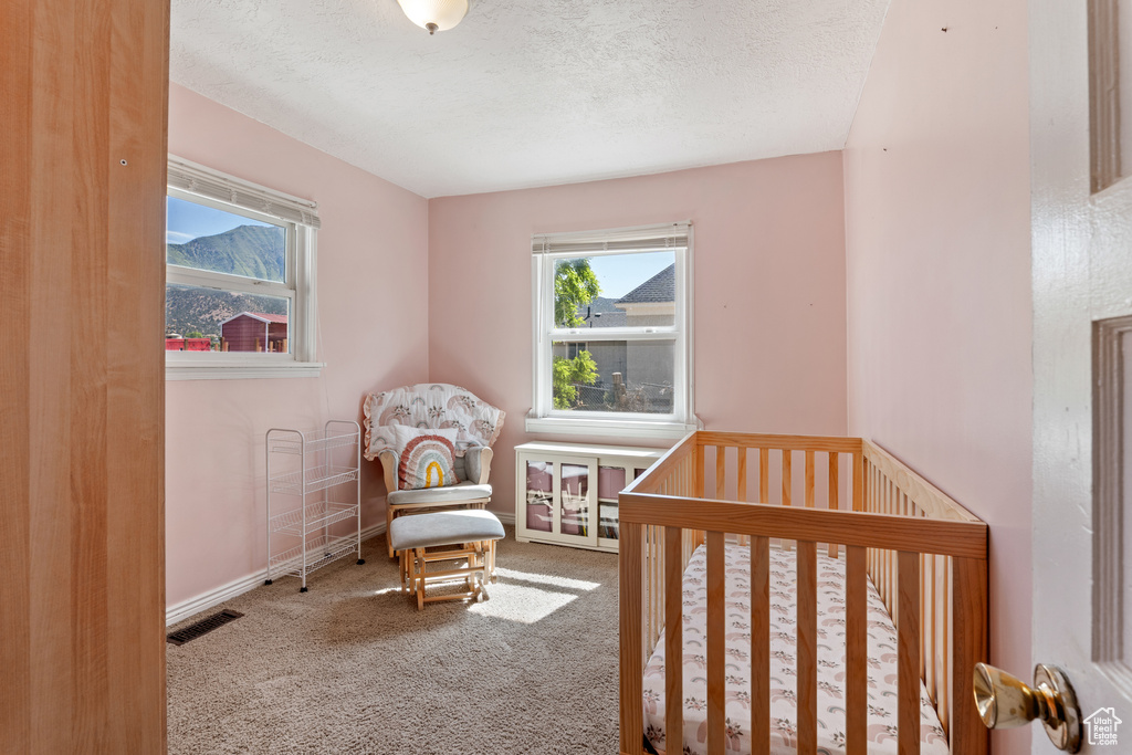 Carpeted bedroom featuring a textured ceiling, a crib, and baseboards
