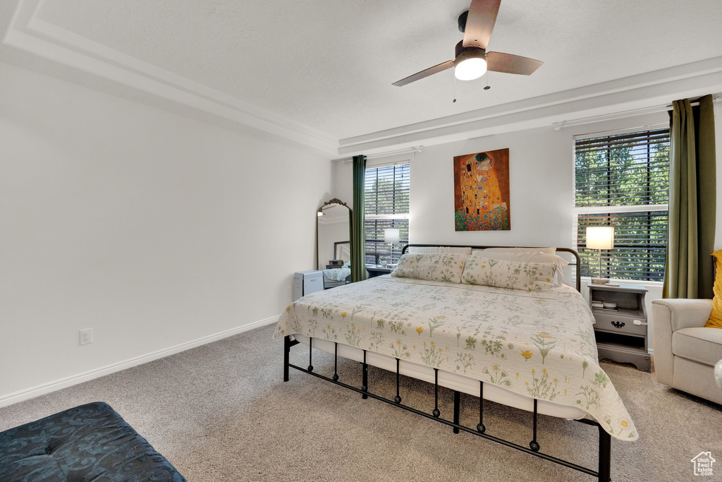 Bedroom featuring a raised ceiling, carpet flooring, baseboards, and a ceiling fan