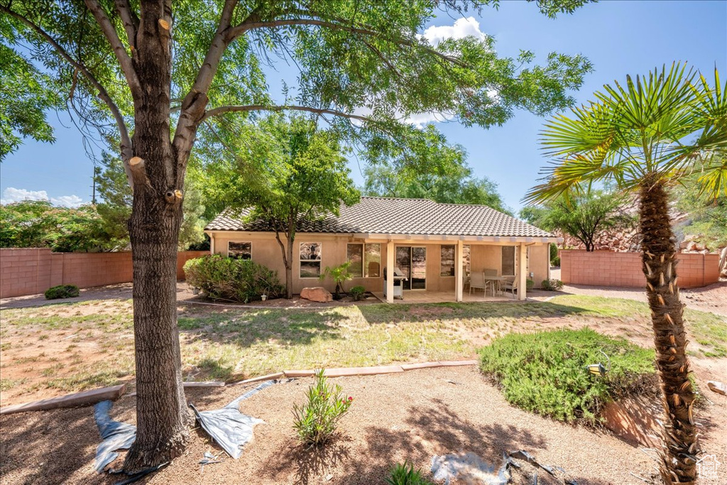 Back of property with a tile roof, stucco siding, and a patio