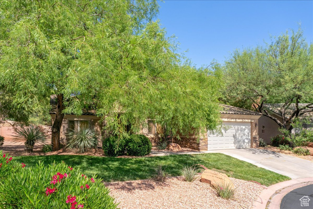 Obstructed view of property with a garage, driveway, and stucco siding