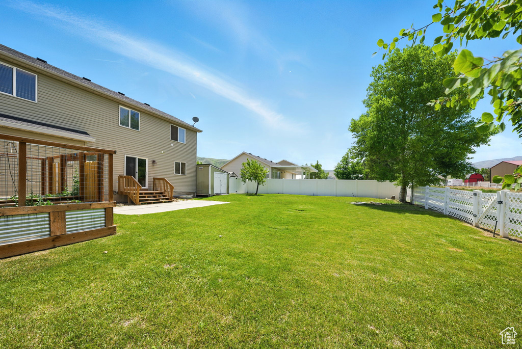 View of yard featuring a patio