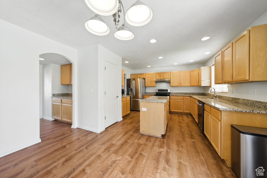 Kitchen with appliances with stainless steel finishes, under cabinet range hood, light wood finished floors, a kitchen island, and a sink