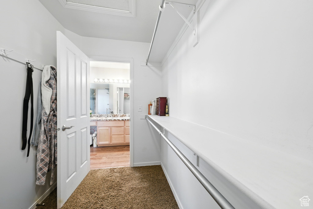 Walk in closet with carpet flooring