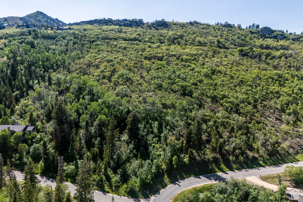 Drone / aerial view of a forest and mountains