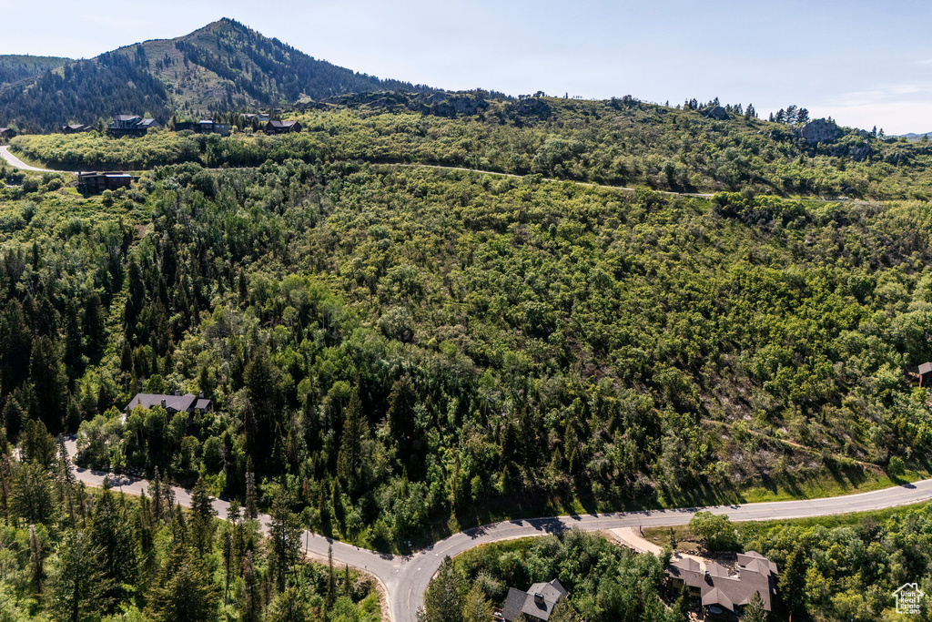 Aerial view of a forest and a mountainous background