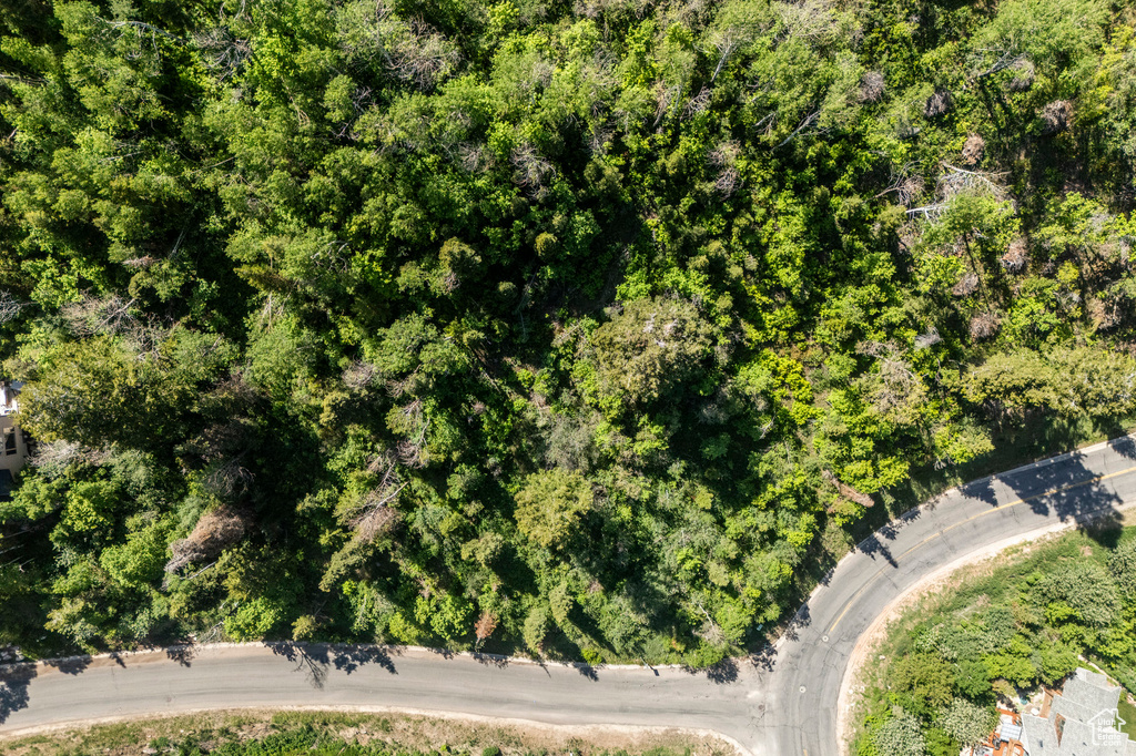 Aerial view of property's location