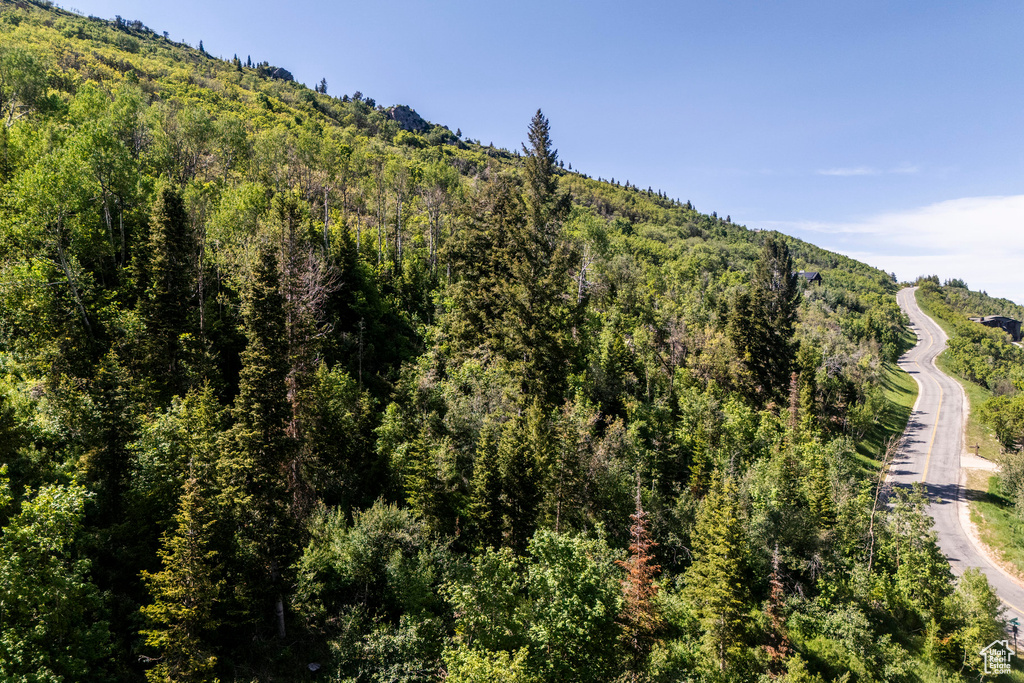 View of mountain backdrop featuring a forest