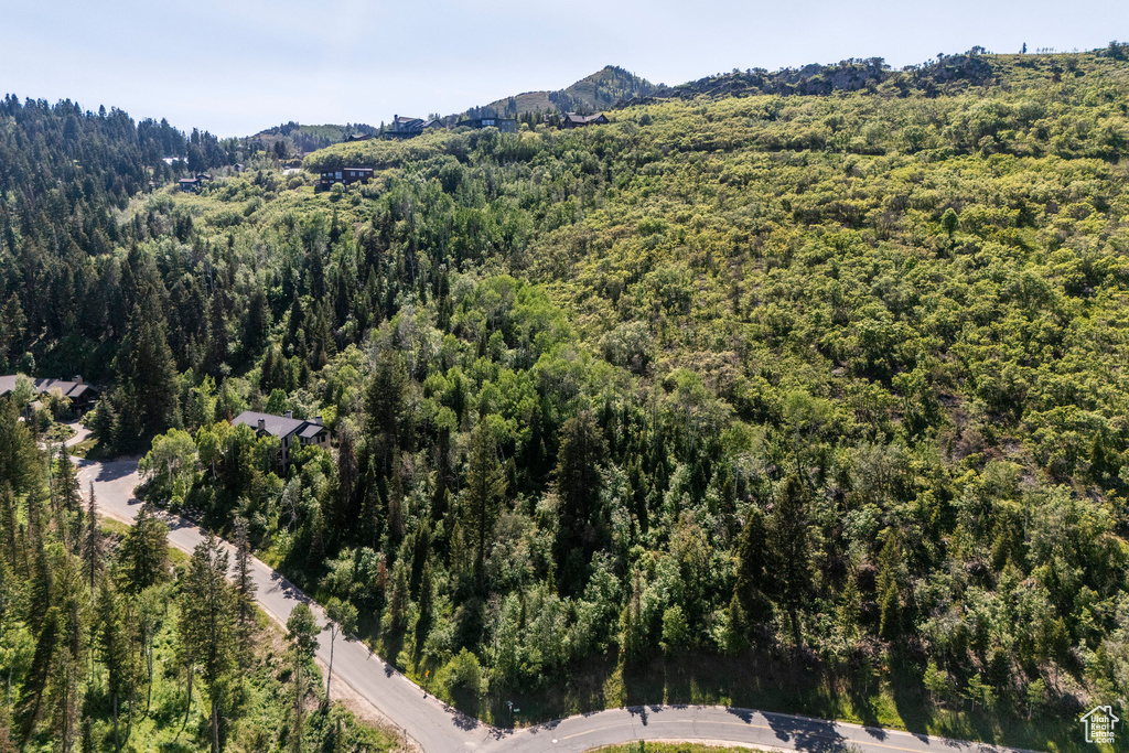 Aerial view of property's location featuring a heavily wooded area