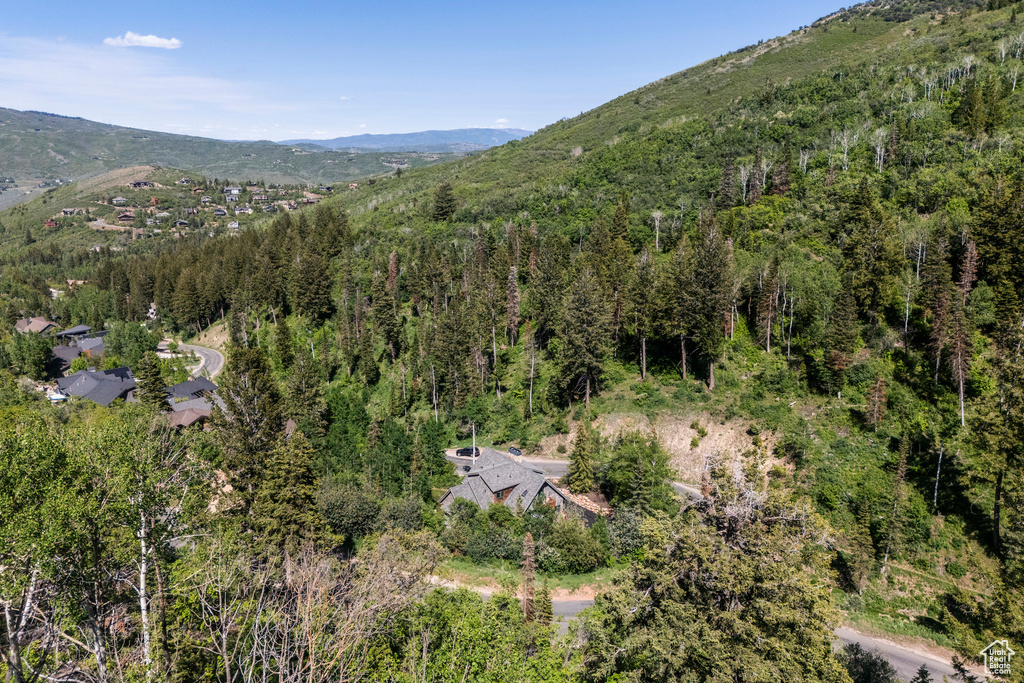 Bird's eye view of a heavily wooded area and a mountainous background