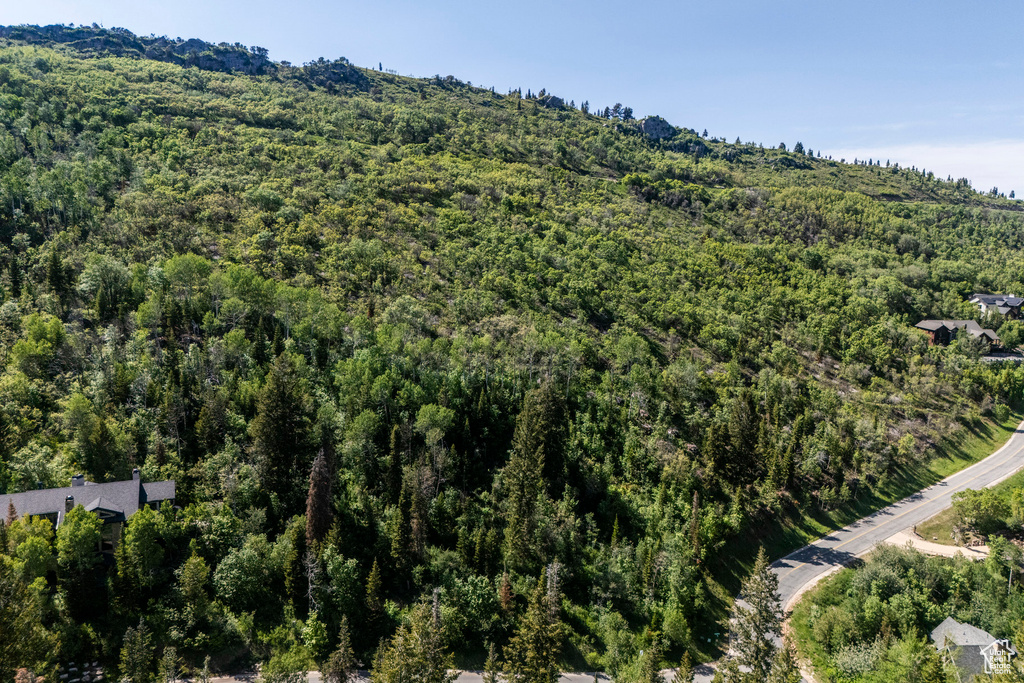 View of property location featuring a forest