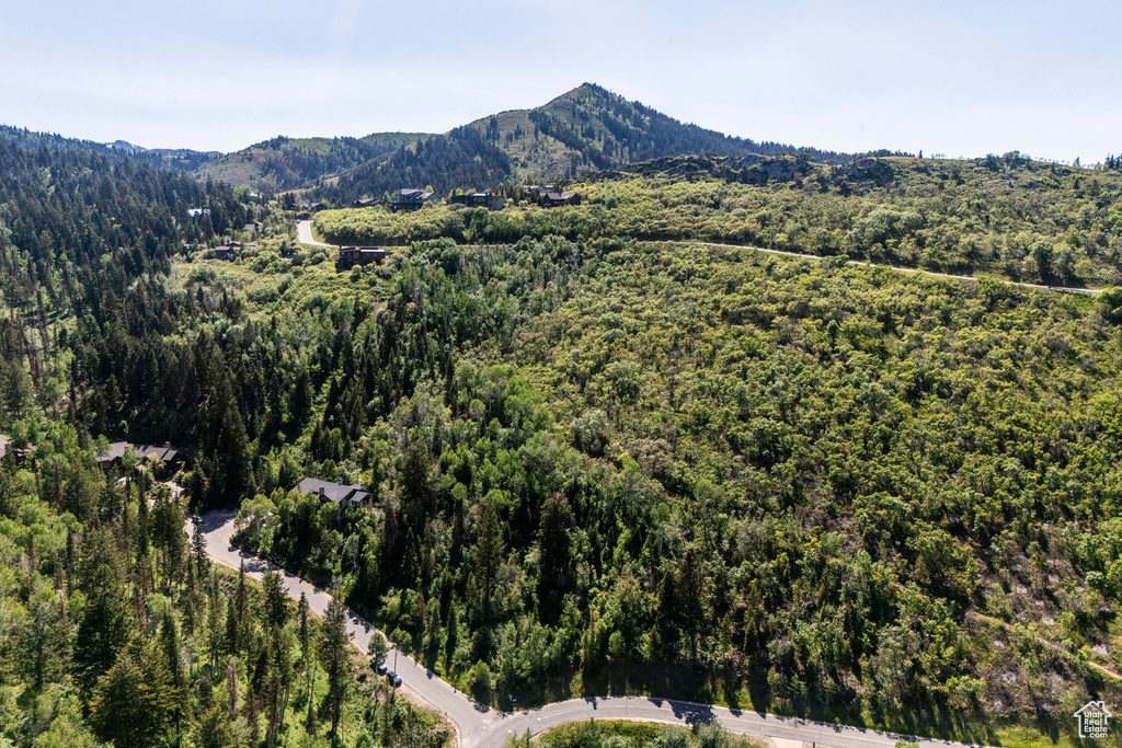 View of mountain backdrop with a heavily wooded area