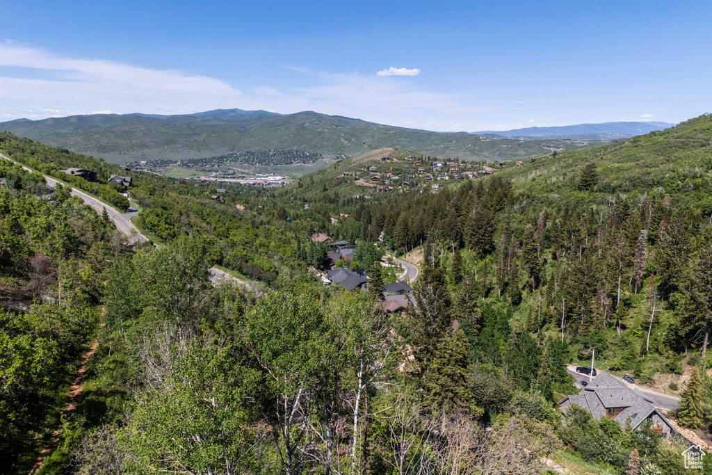 View of mountain background with a forest