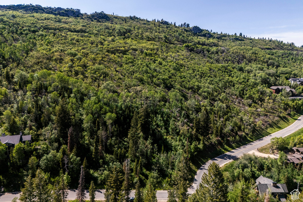 View of property location with a forest