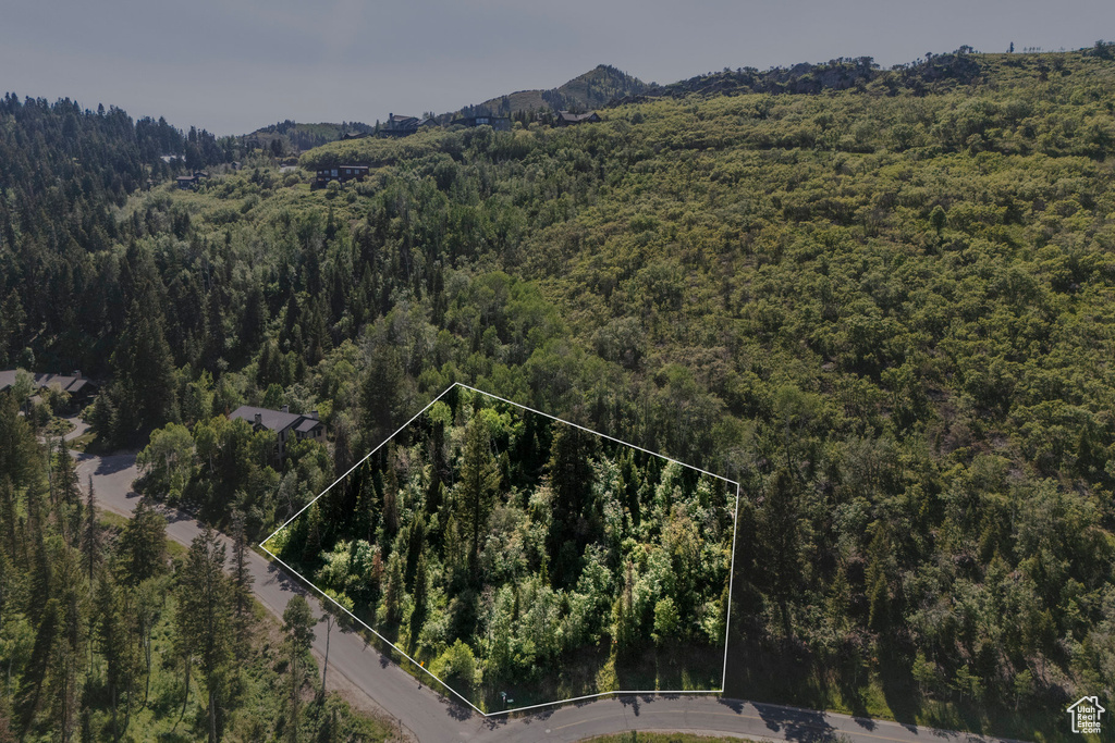 Aerial view of property and surrounding area with a forest and property boundaries highlighted