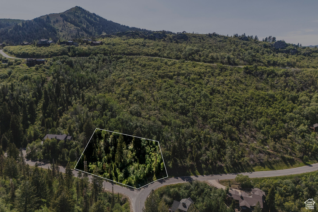 Aerial view of property's location featuring a heavily wooded area, property parcel outlined, and mountains
