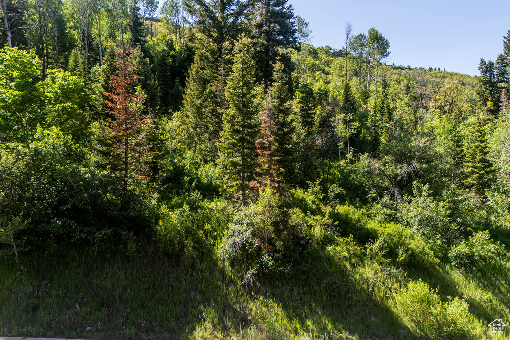View of woods