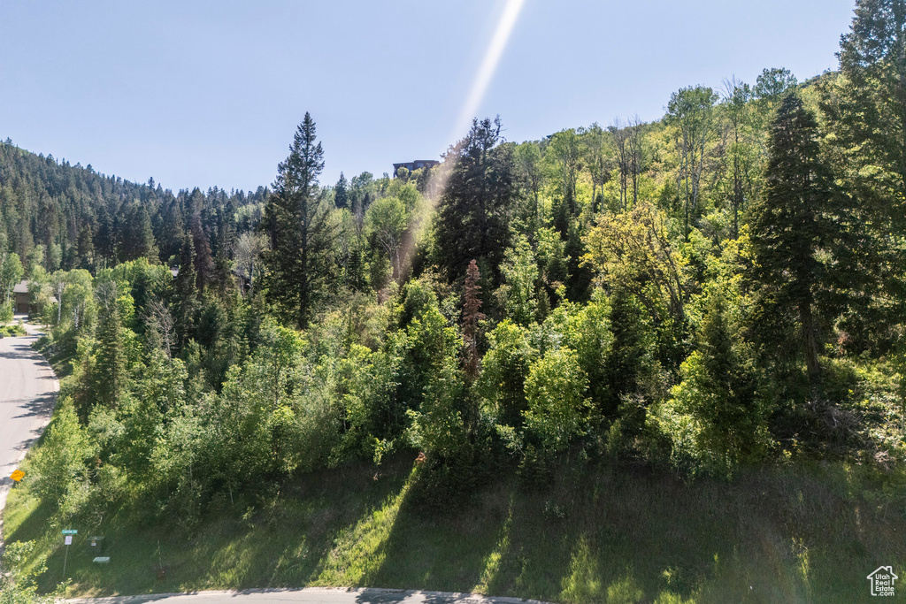 View of wooded area