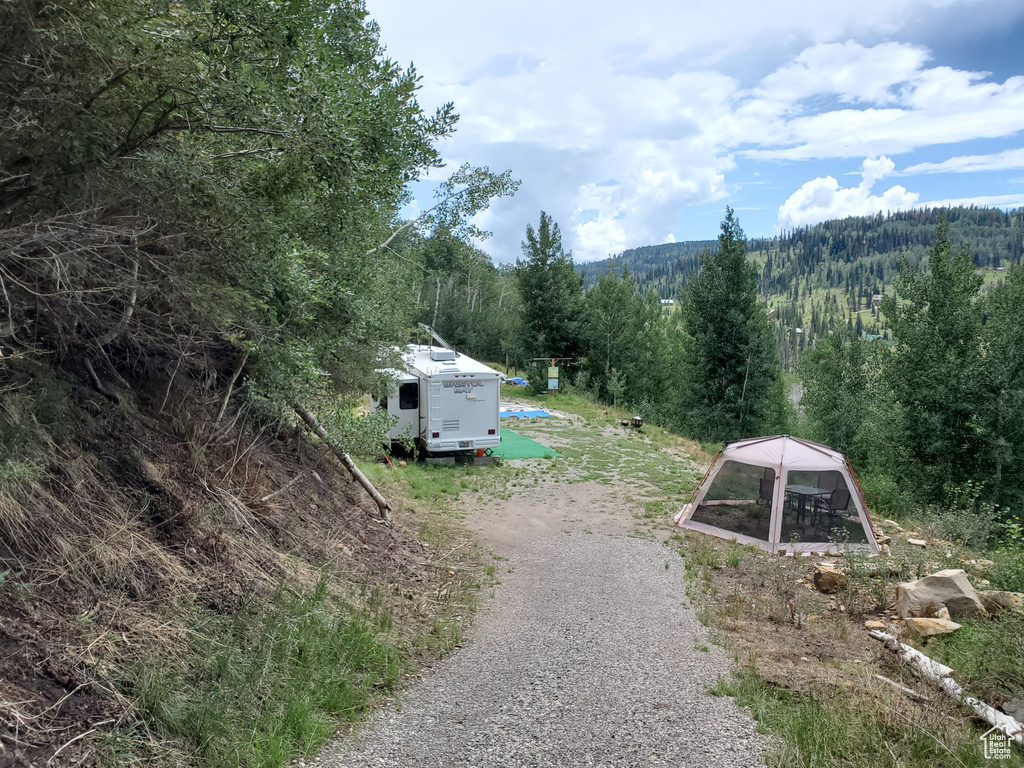 View of yard featuring a forest view