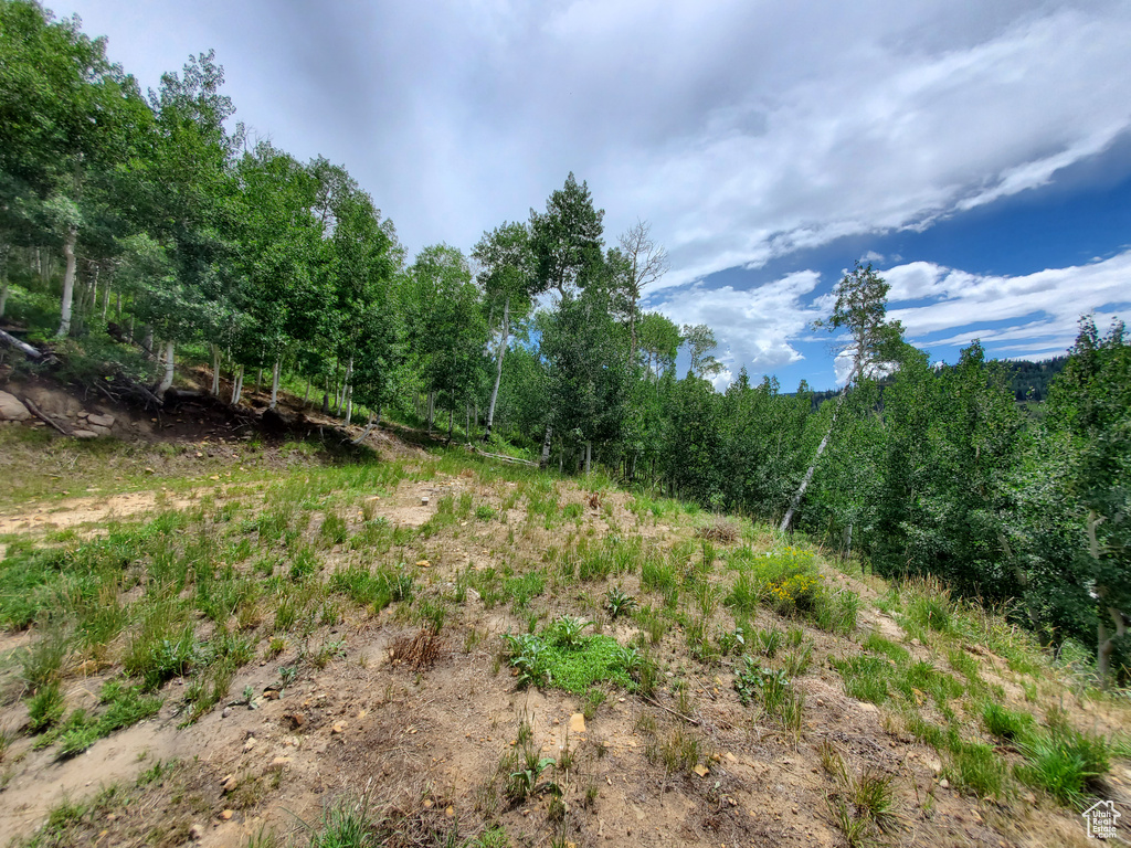 View of wooded area