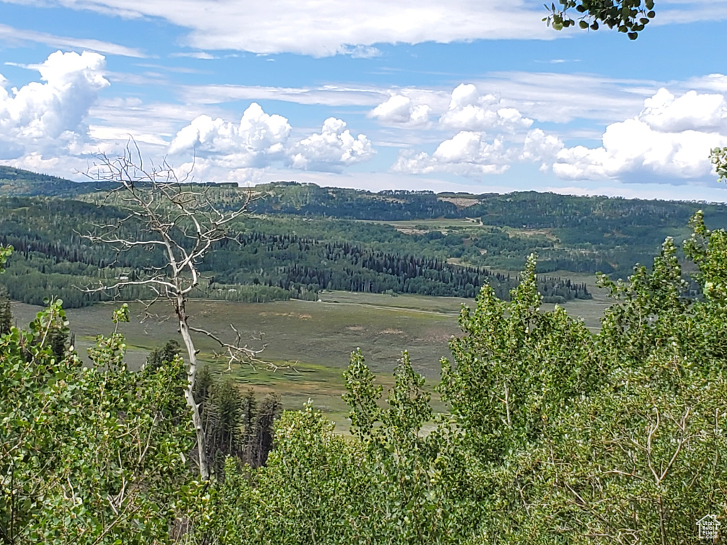Mountain view featuring a forest