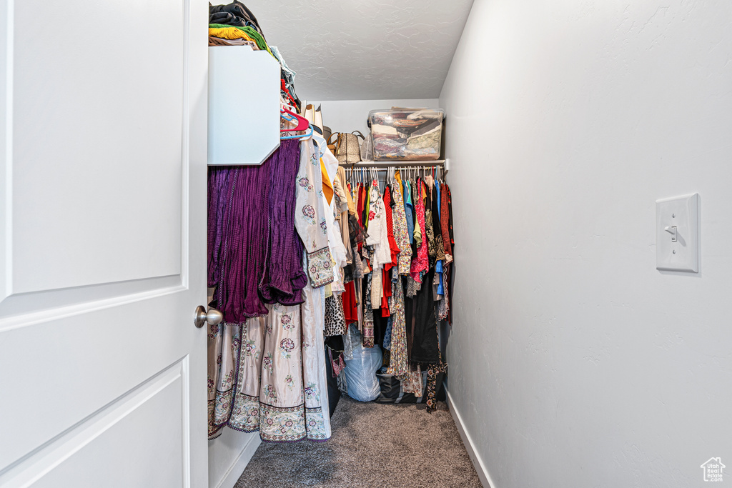 Spacious closet with carpet