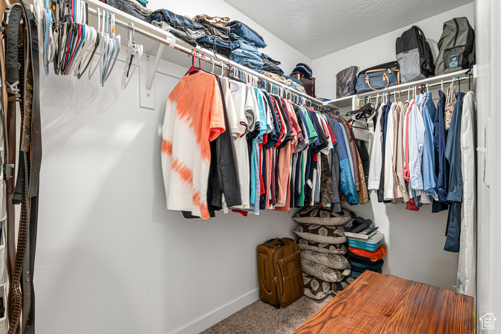 Spacious closet with carpet floors