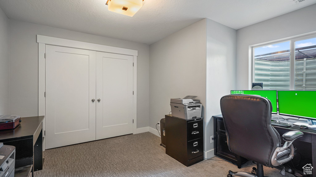 Office space featuring light carpet and baseboards
