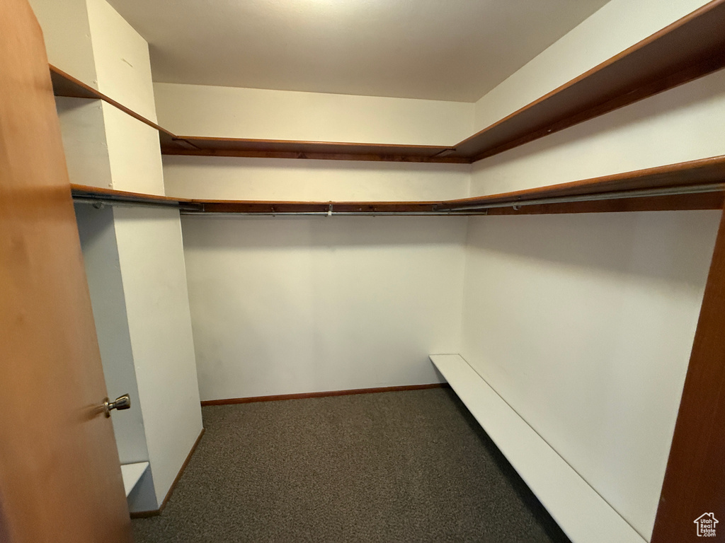 Walk in closet with carpet floors