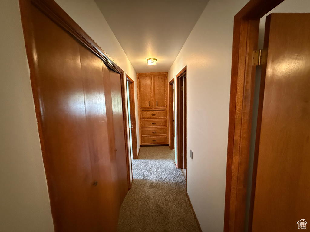 Corridor featuring carpet floors
