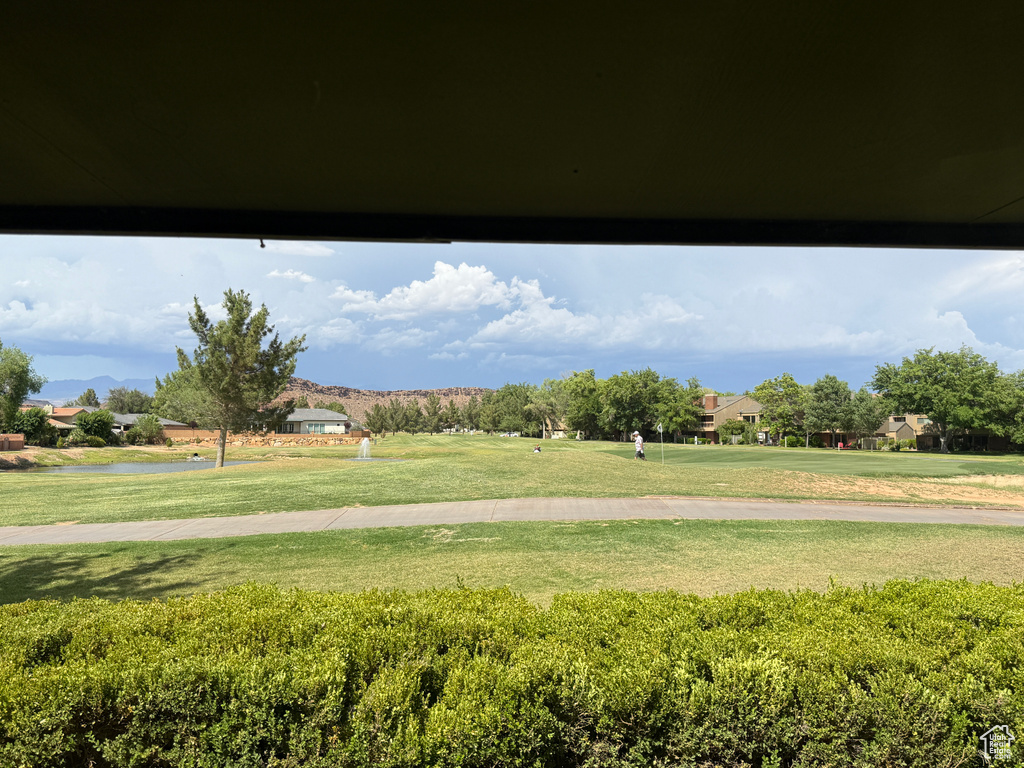 View of green lawn
